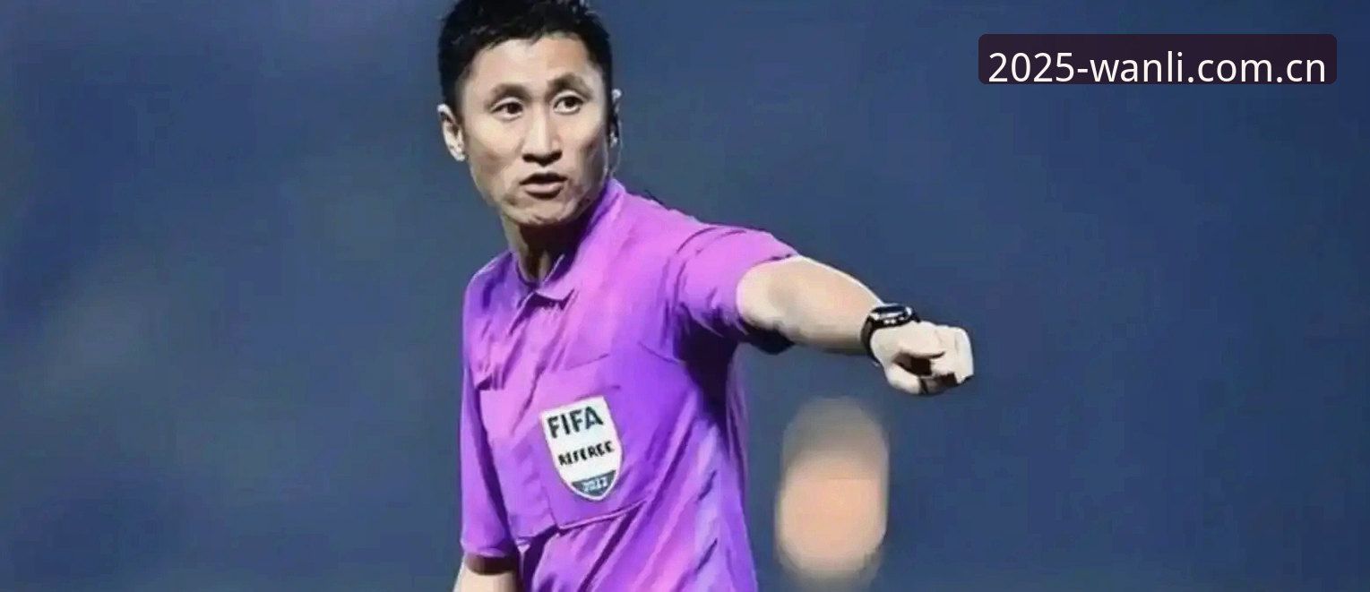 为什么马宁不看球迷评论，却能走进世界杯裁判席？